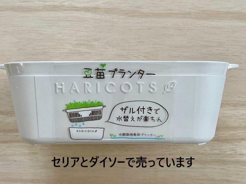豆苗プランター