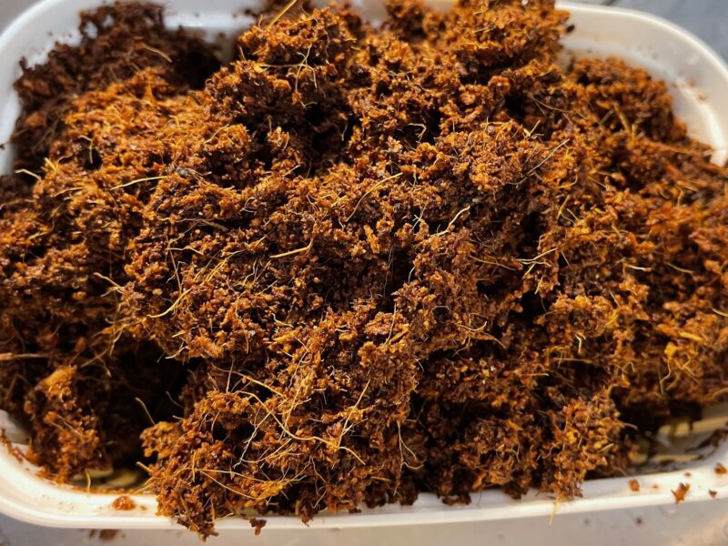 プロトリーフ土ブロック