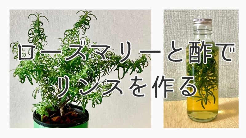 ローズマリー酢リンス
