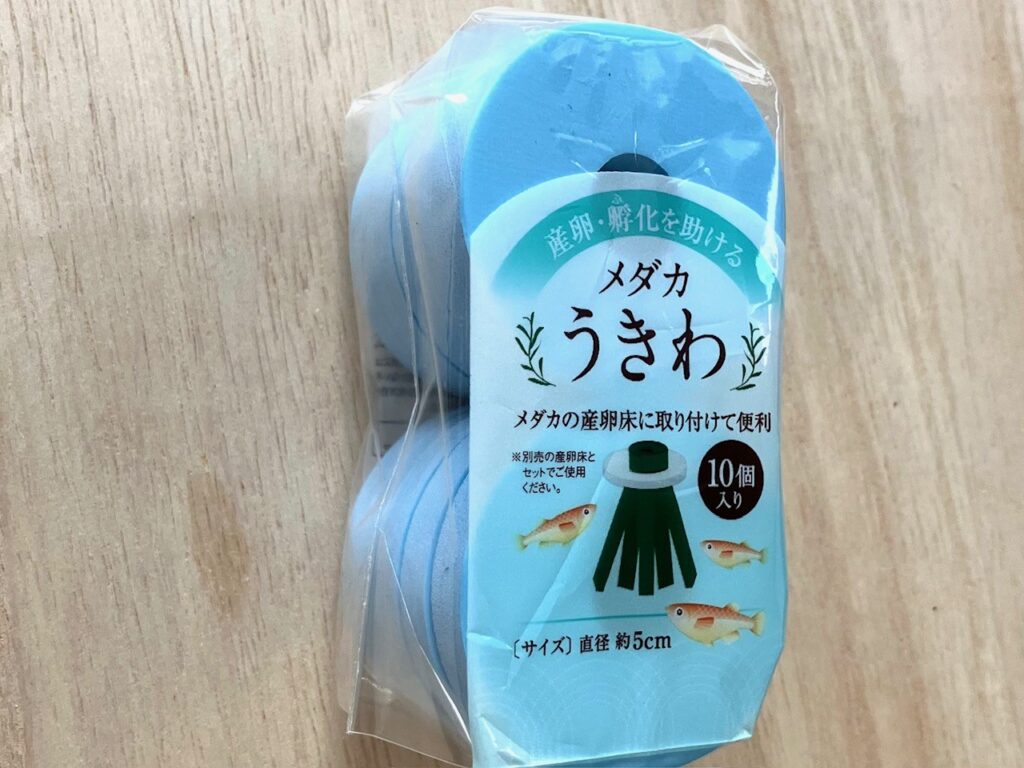 100均めだかうきわ