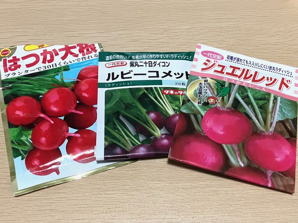 二十日大根のタネ